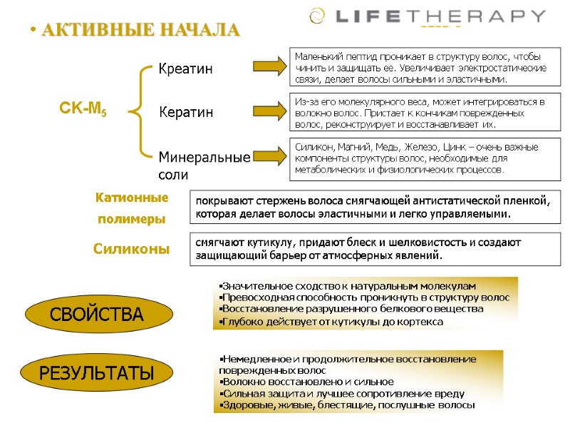 АКТИВНЫЕ НАЧАЛА  СВОЙСТВА  РЕЗУЛЬТАТЫ Значительное сходство к натуральным молекулам  Превосходная способность